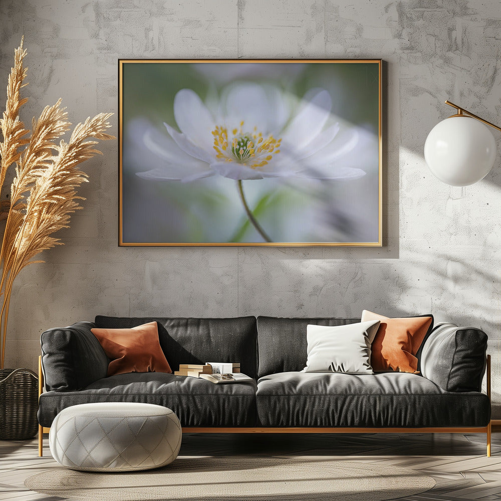 Nemorosa Nirvana | Canvas