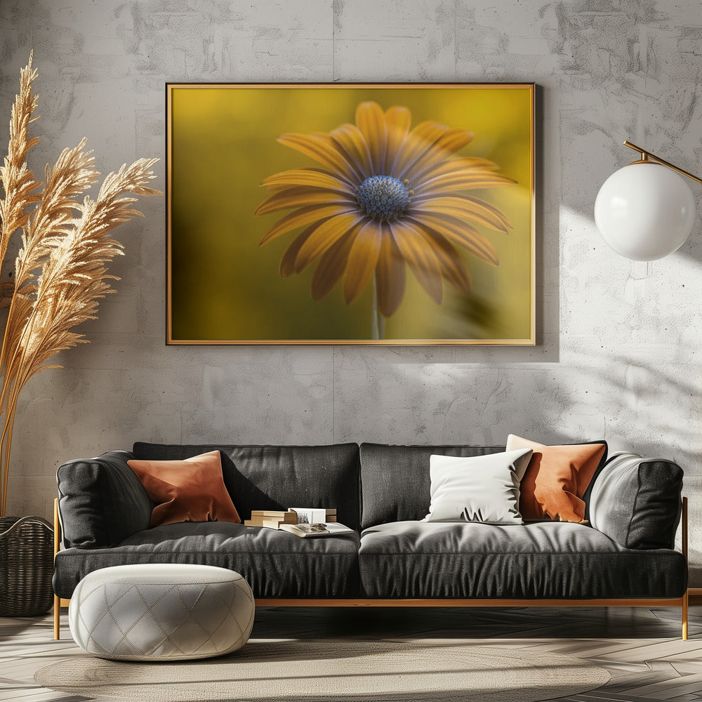 Sunshine Daisy | Poster