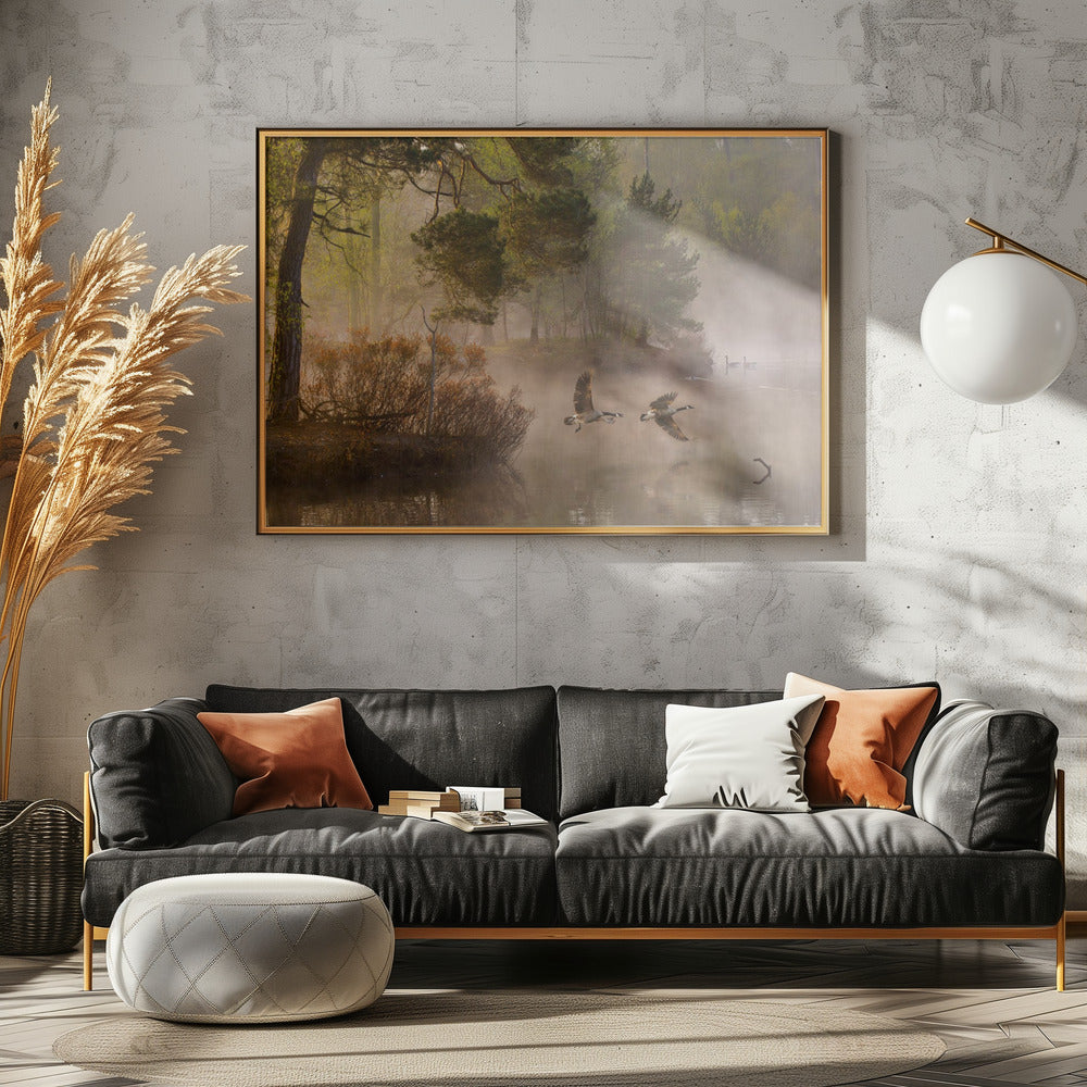 Goose fight | Canvas