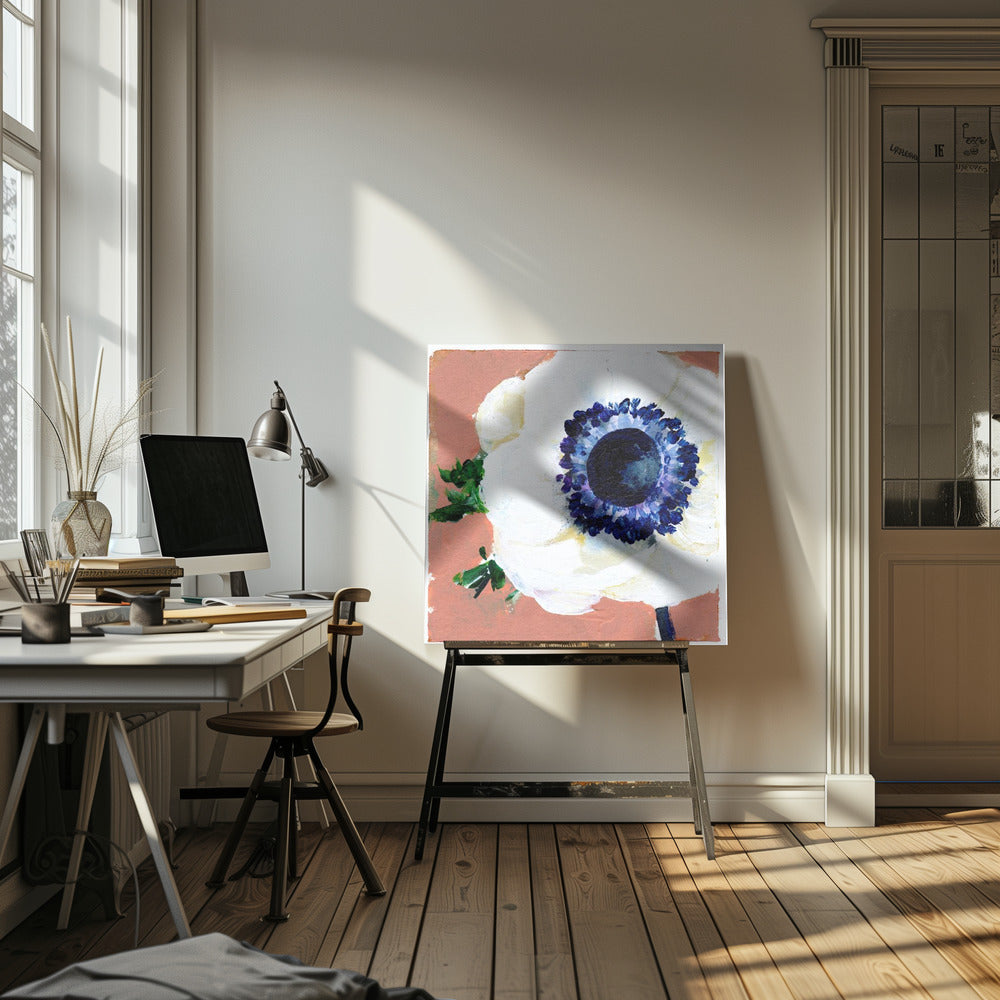 Anemone | Canvas