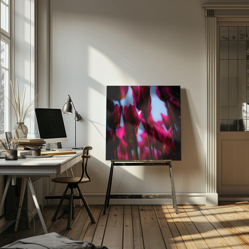 Purple Tulips | Canvas