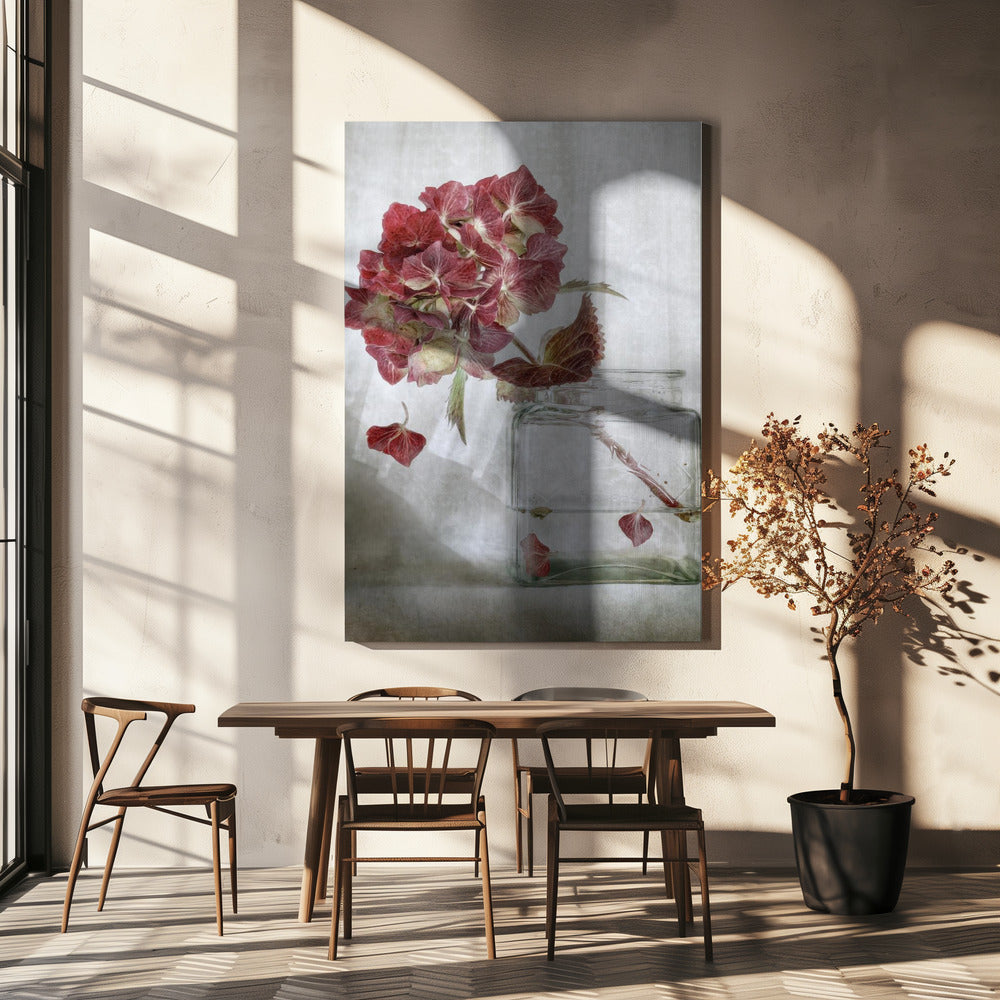 Hydrangea | Canvas