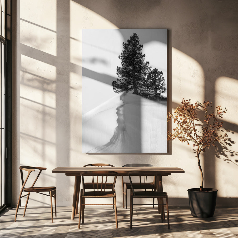 About the snow and forms | Canvas