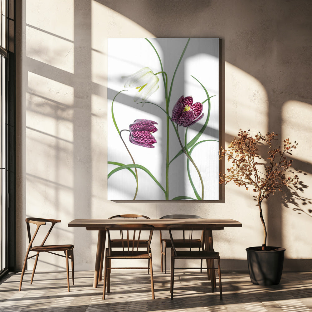 Snakes head Fritillary | Canvas