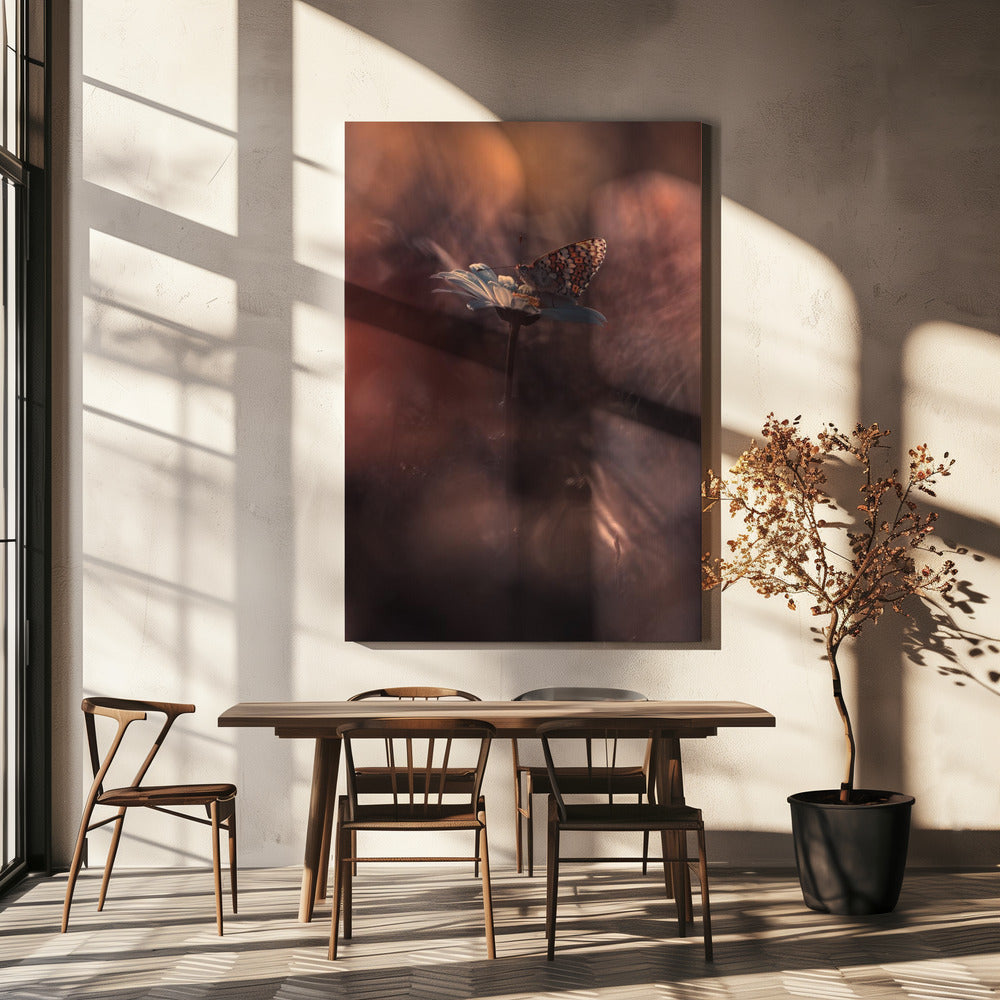 Pyrotechnics | Canvas