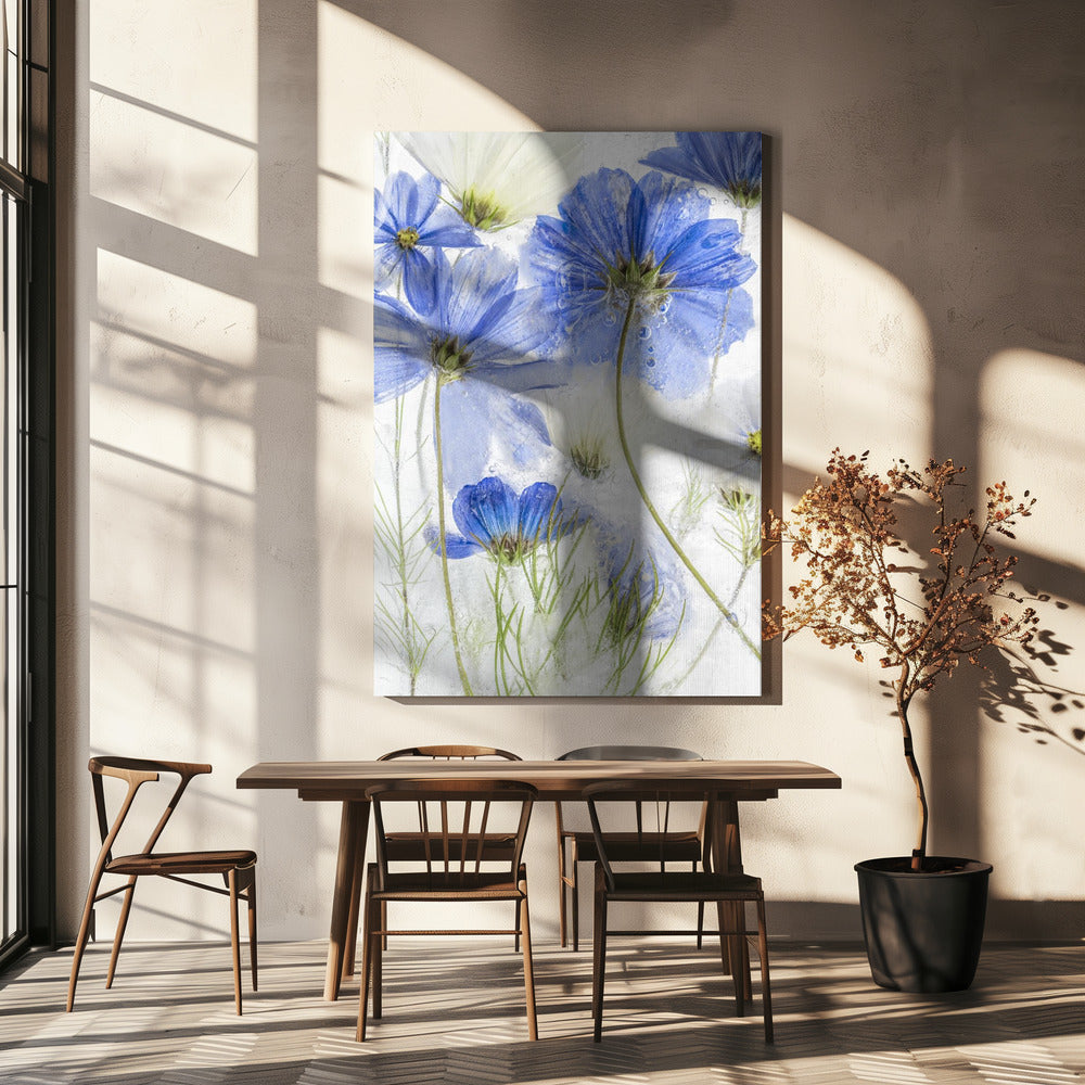 Cosmos blue | Canvas