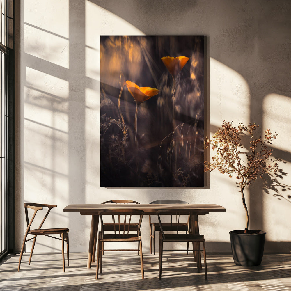 From The Enchanted Secret Garden | Canvas