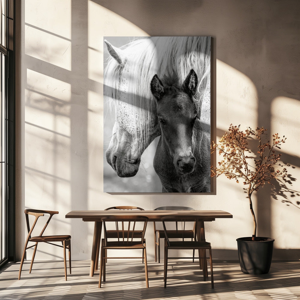 The Foal | Canvas