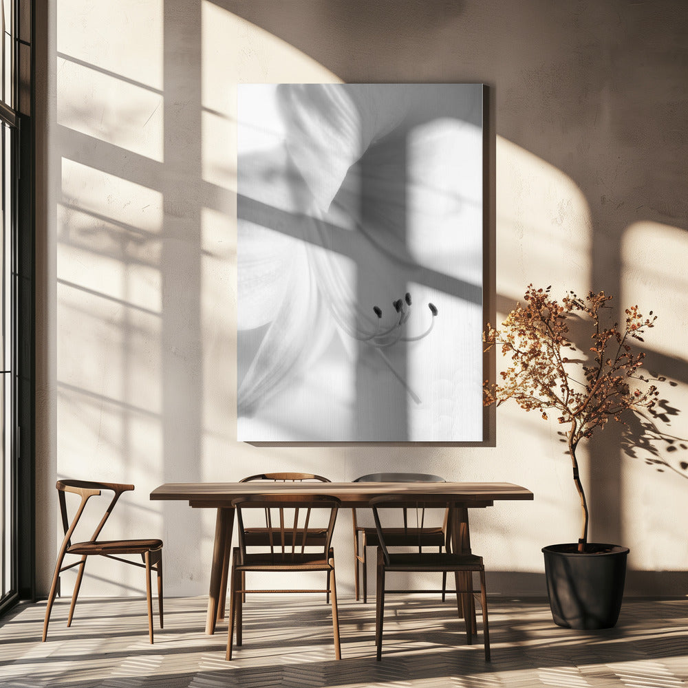 White on White | Canvas