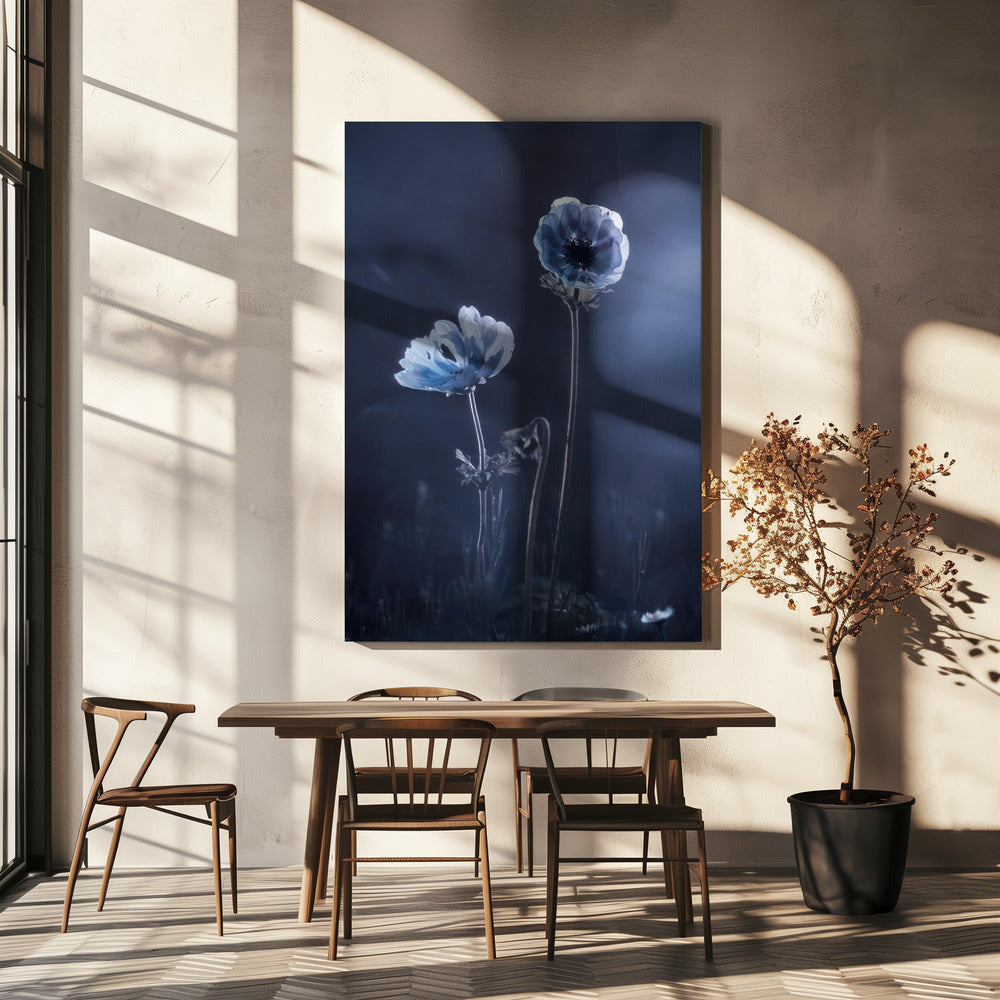 Meanwhile, oustide walls | Canvas