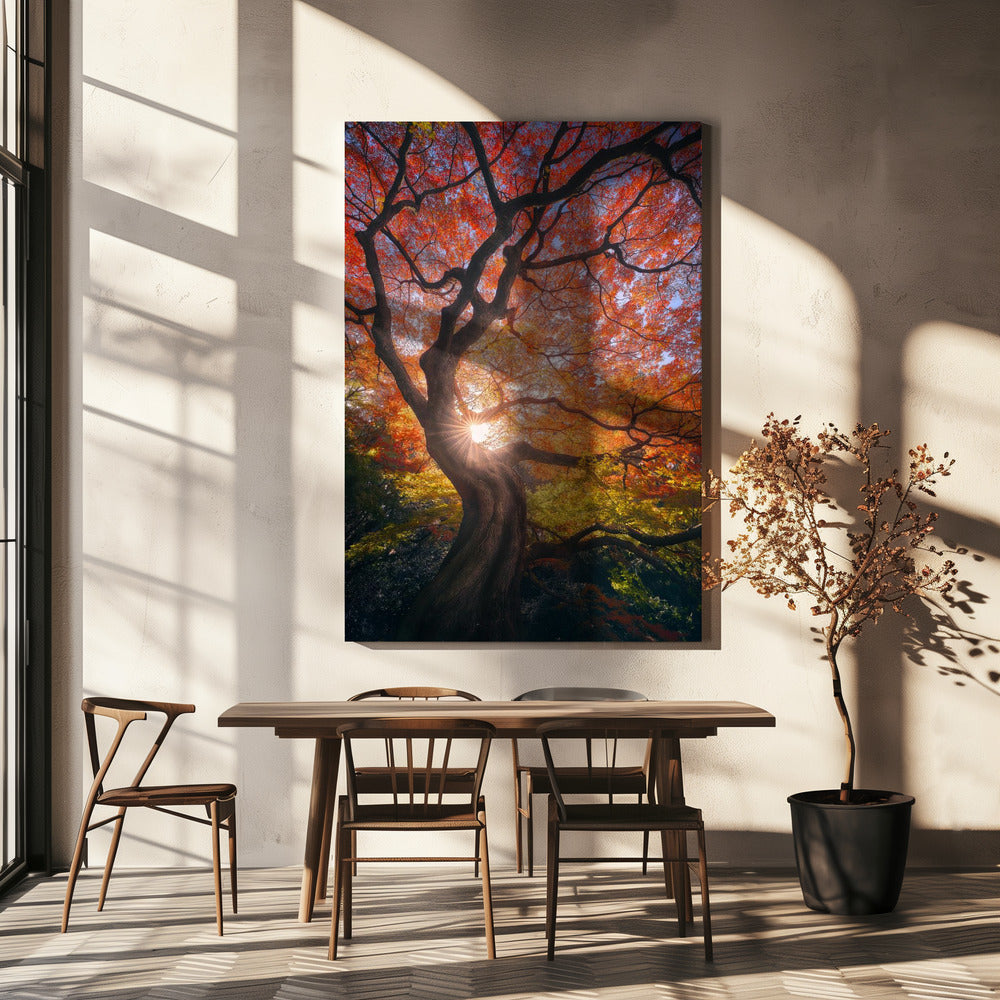 The Japanese Tree | Canvas