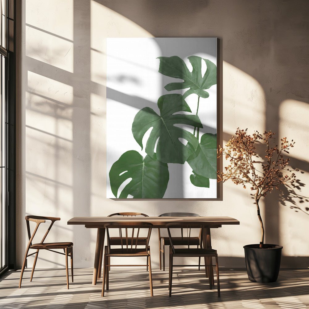Monstera Aqua 03 | Canvas