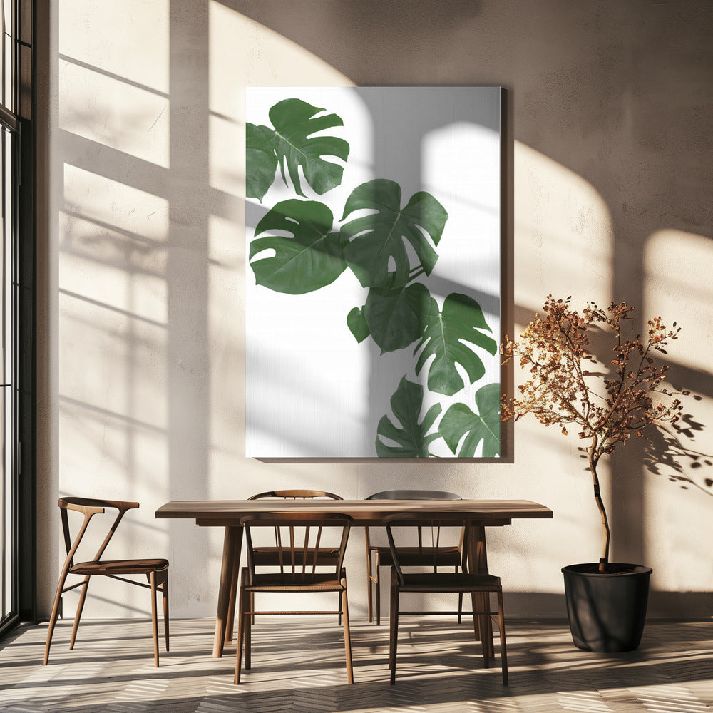 Monstera Aqua 02 | Canvas
