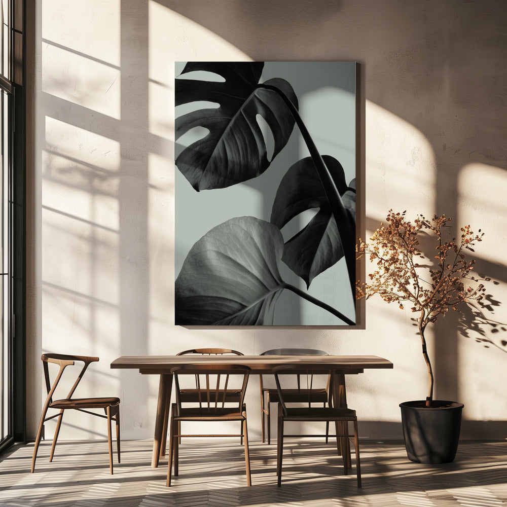 Monstera Teal 07 | Canvas