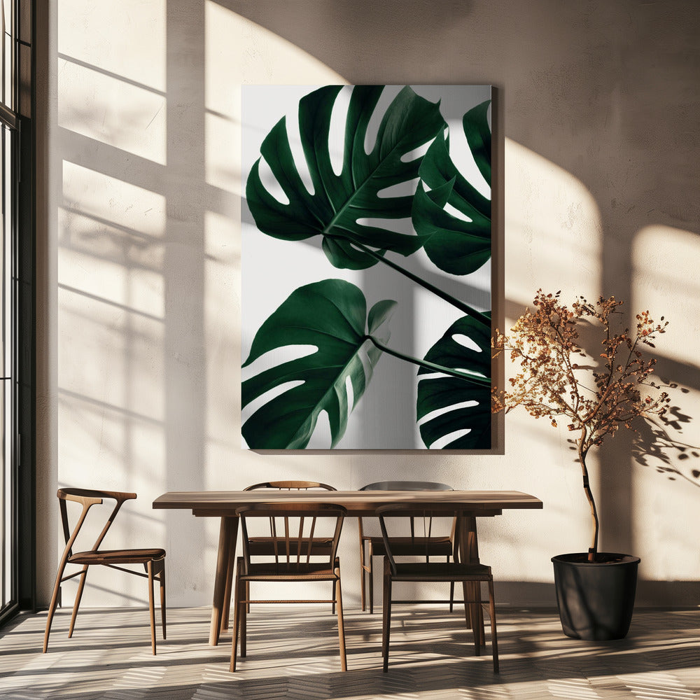 Monstera Natural 43 | Canvas