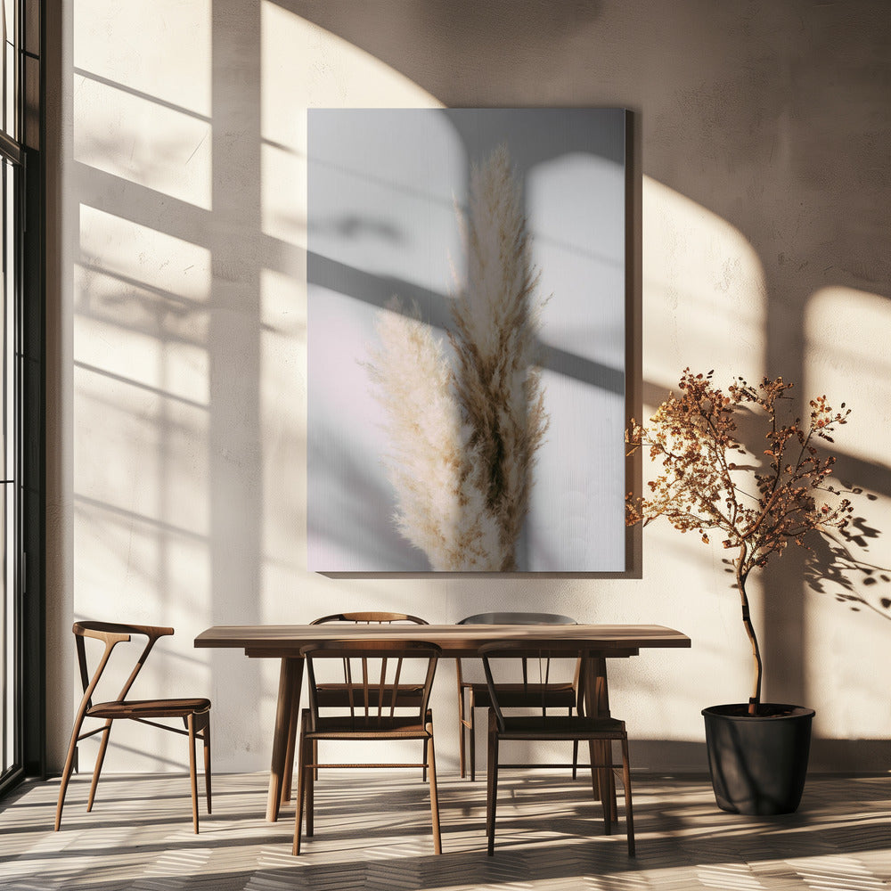 Pampas Grass Grey | Canvas