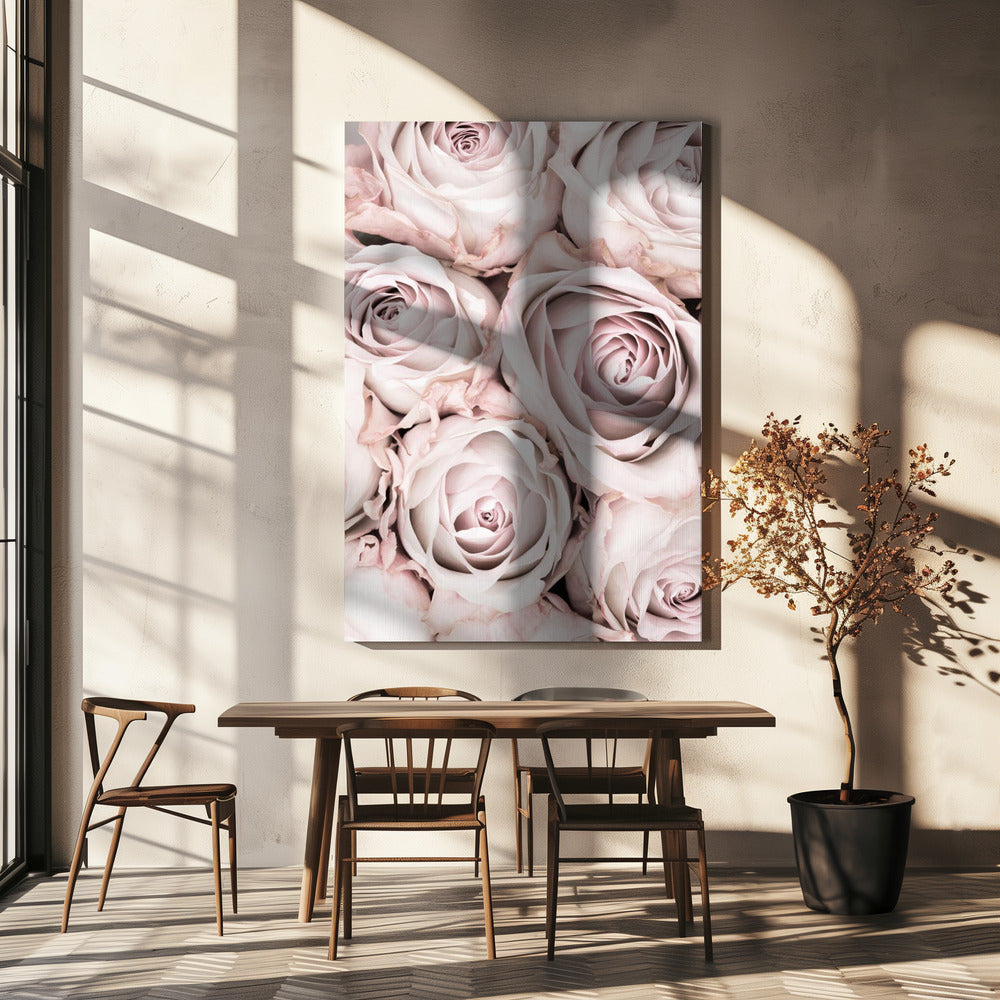 Pink Roses No 01 | Canvas