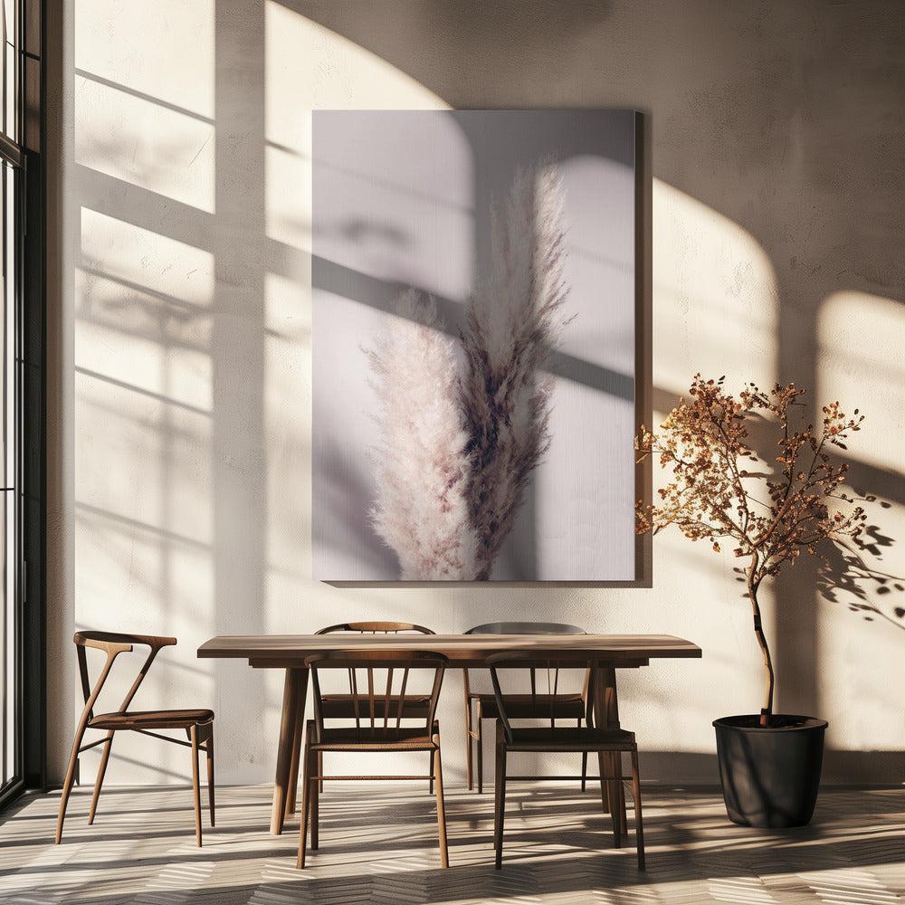 Pampas Grass | Canvas