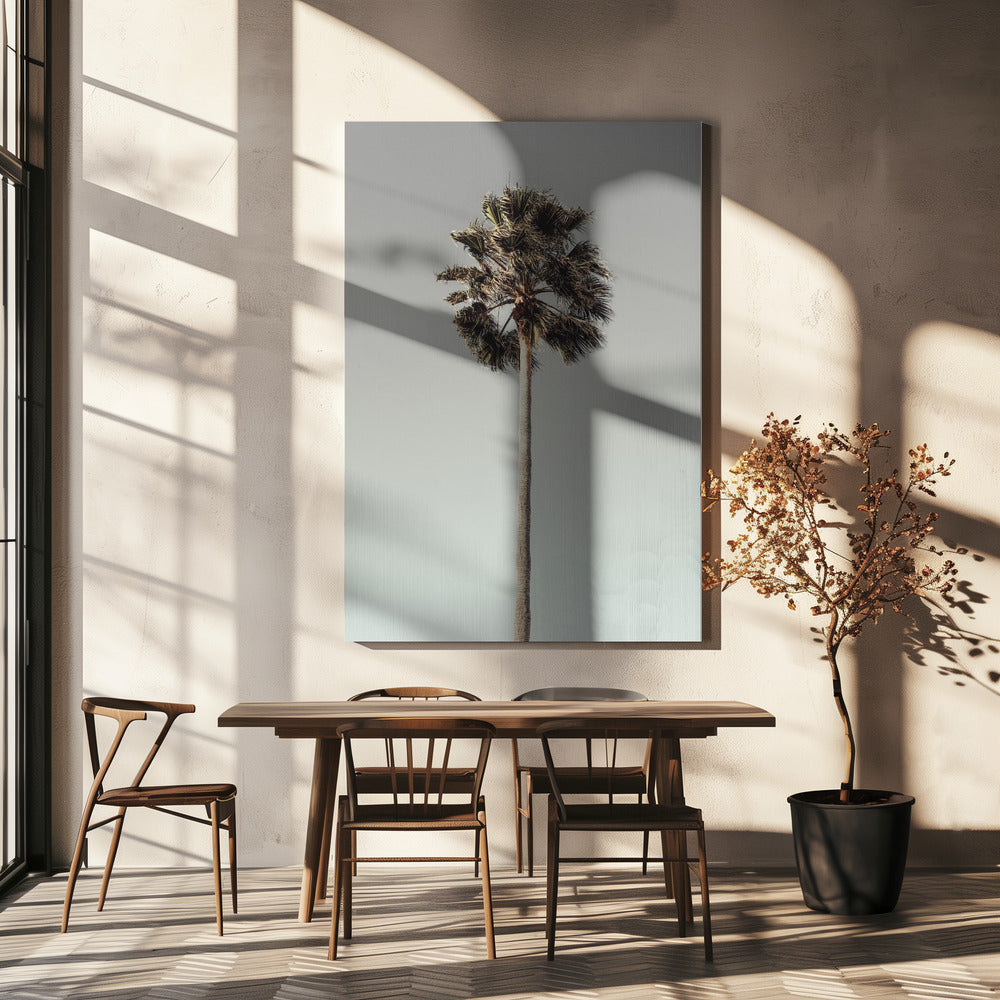 Palm_001 | Canvas