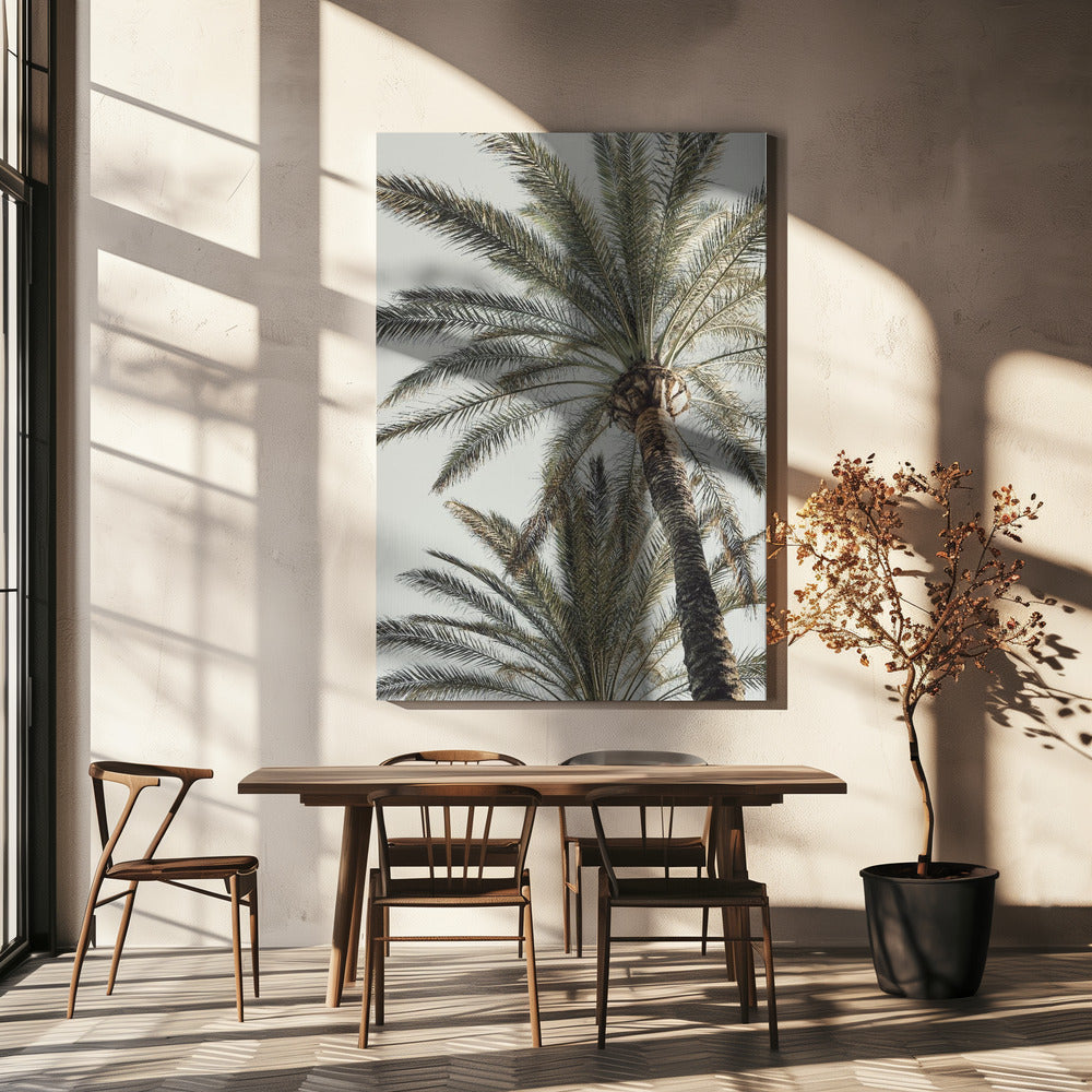 Palm_005 | Canvas