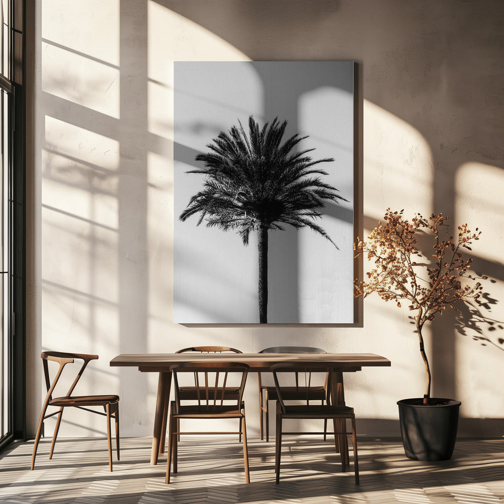 Palm_003 | Canvas