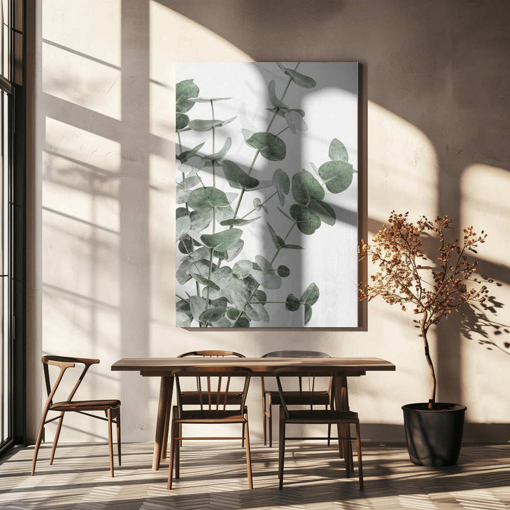 Eucalyptus_003 | Canvas