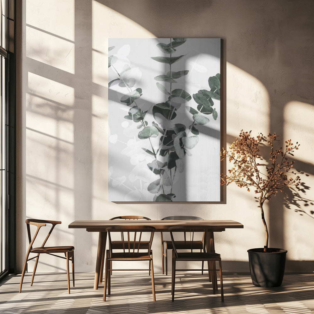 Eucalyptus_002 | Canvas