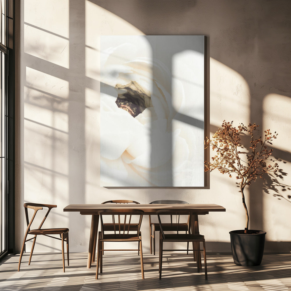 White Flower 01 | Canvas