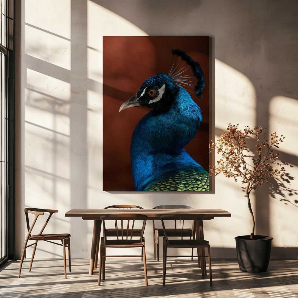 Seduction mode | Canvas