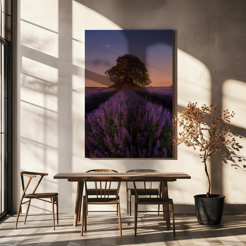Lavender and Moon | Canvas