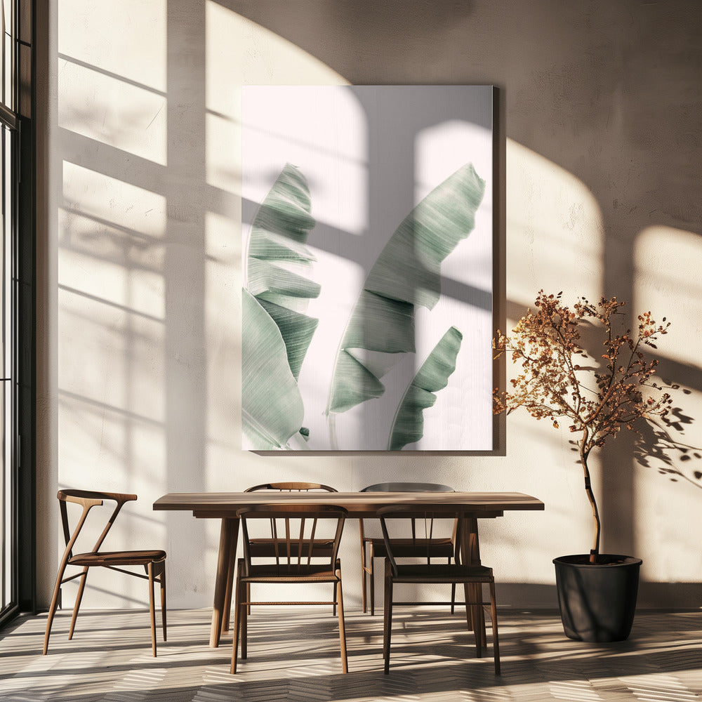 Blush Banana Leaves | Canvas