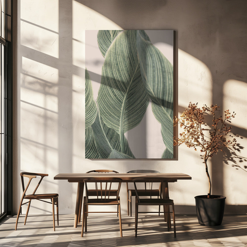 Calla Leaf | Canvas