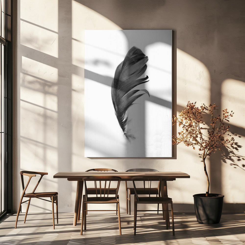 Feather | Canvas