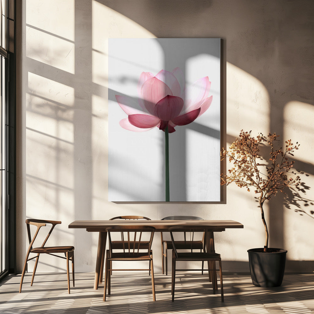 Lotus Flower | Canvas