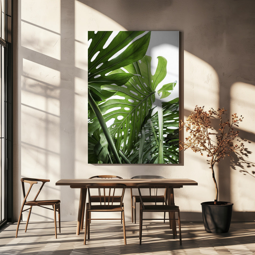 Jungle | Canvas