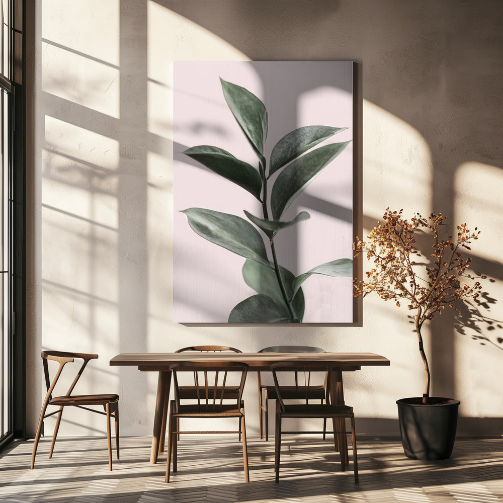Foliage on Pink | Canvas