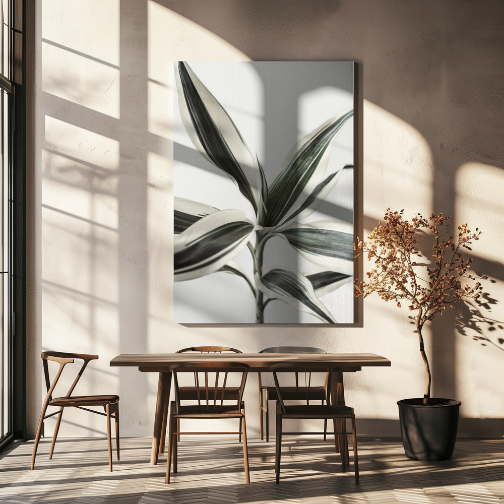 Foliage | Canvas