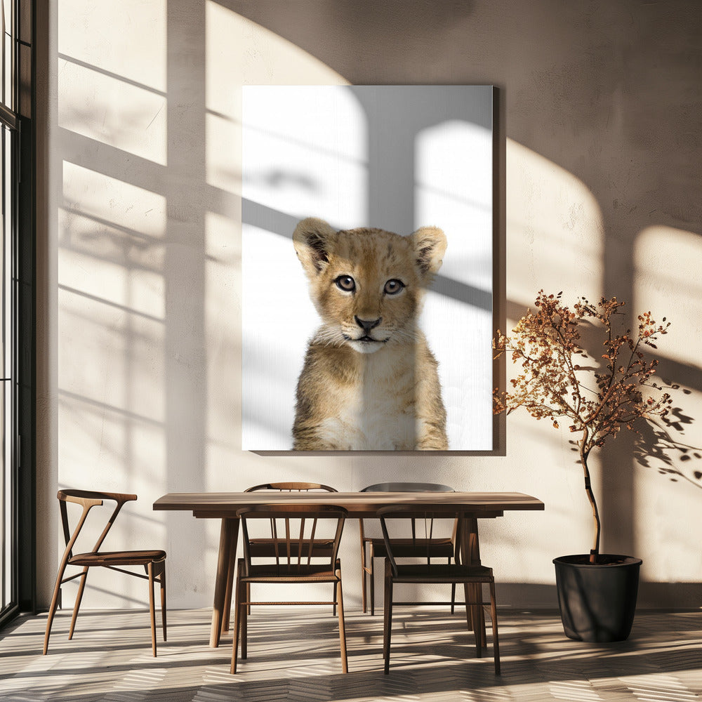 Baby Lion | Canvas
