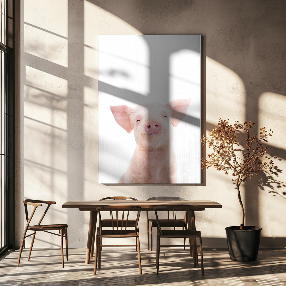 Baby Pig | Canvas