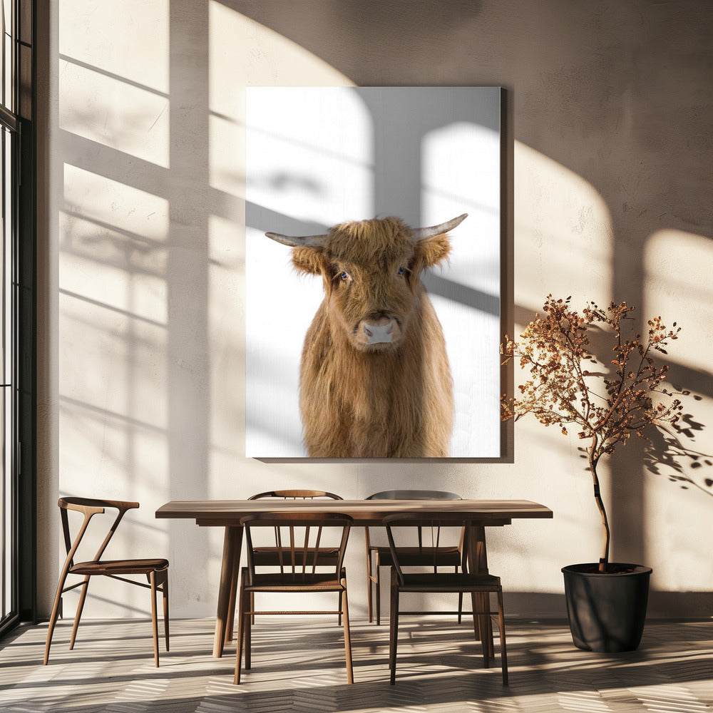 Baby Cow | Canvas