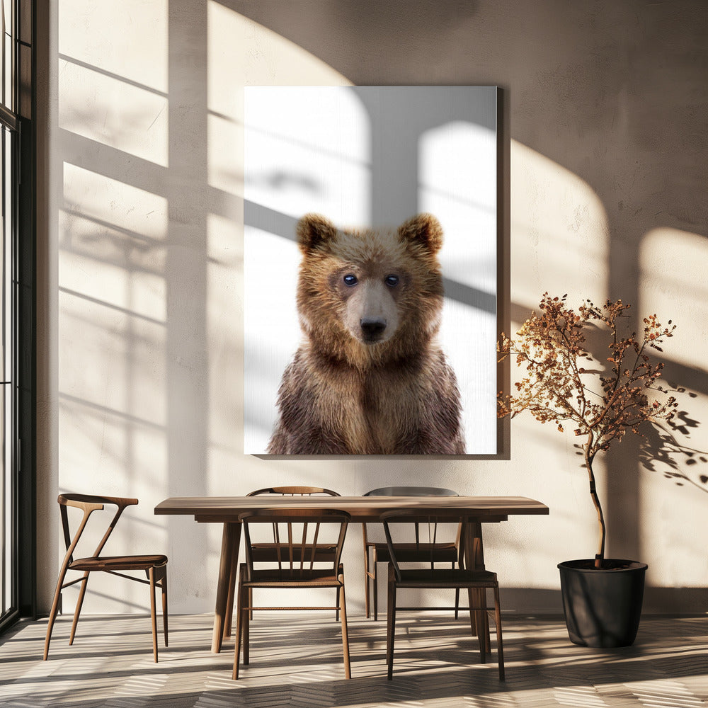 Baby Bear | Canvas