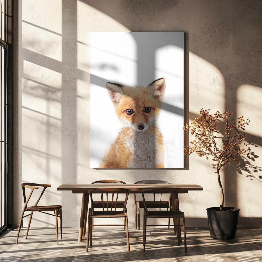 Baby Fox | Canvas