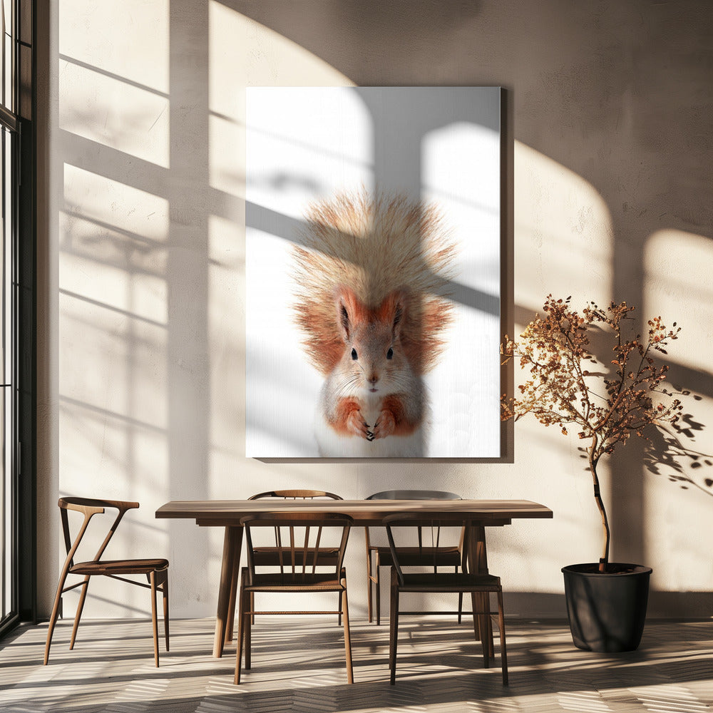 Baby Squirel | Canvas
