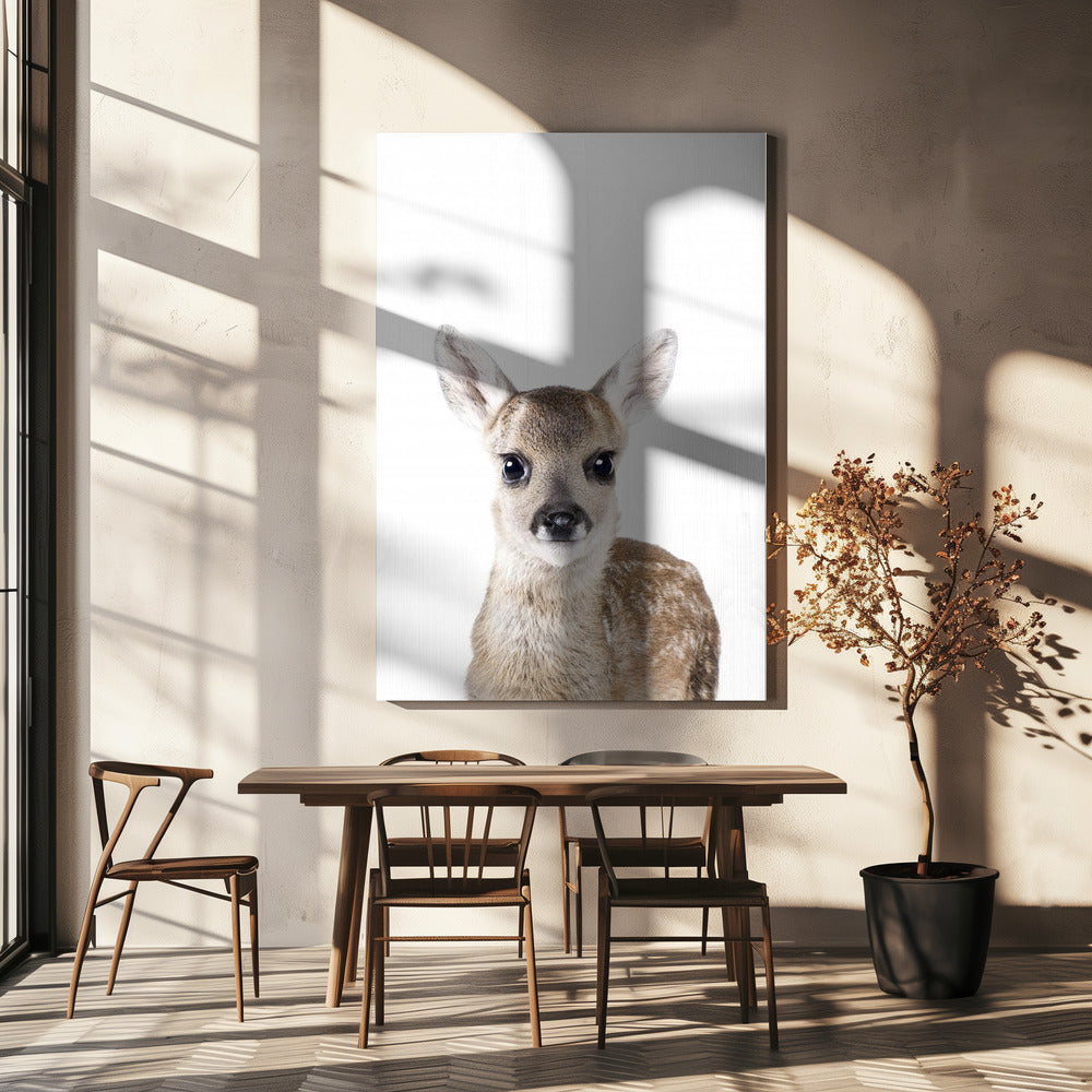 Baby Deer | Canvas