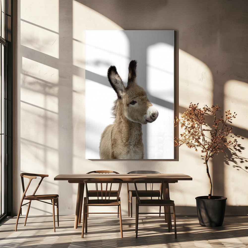 Baby Donkey | Canvas