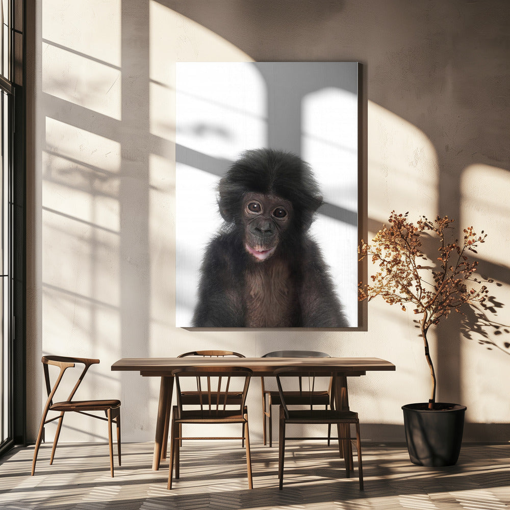 Baby Monkey | Canvas