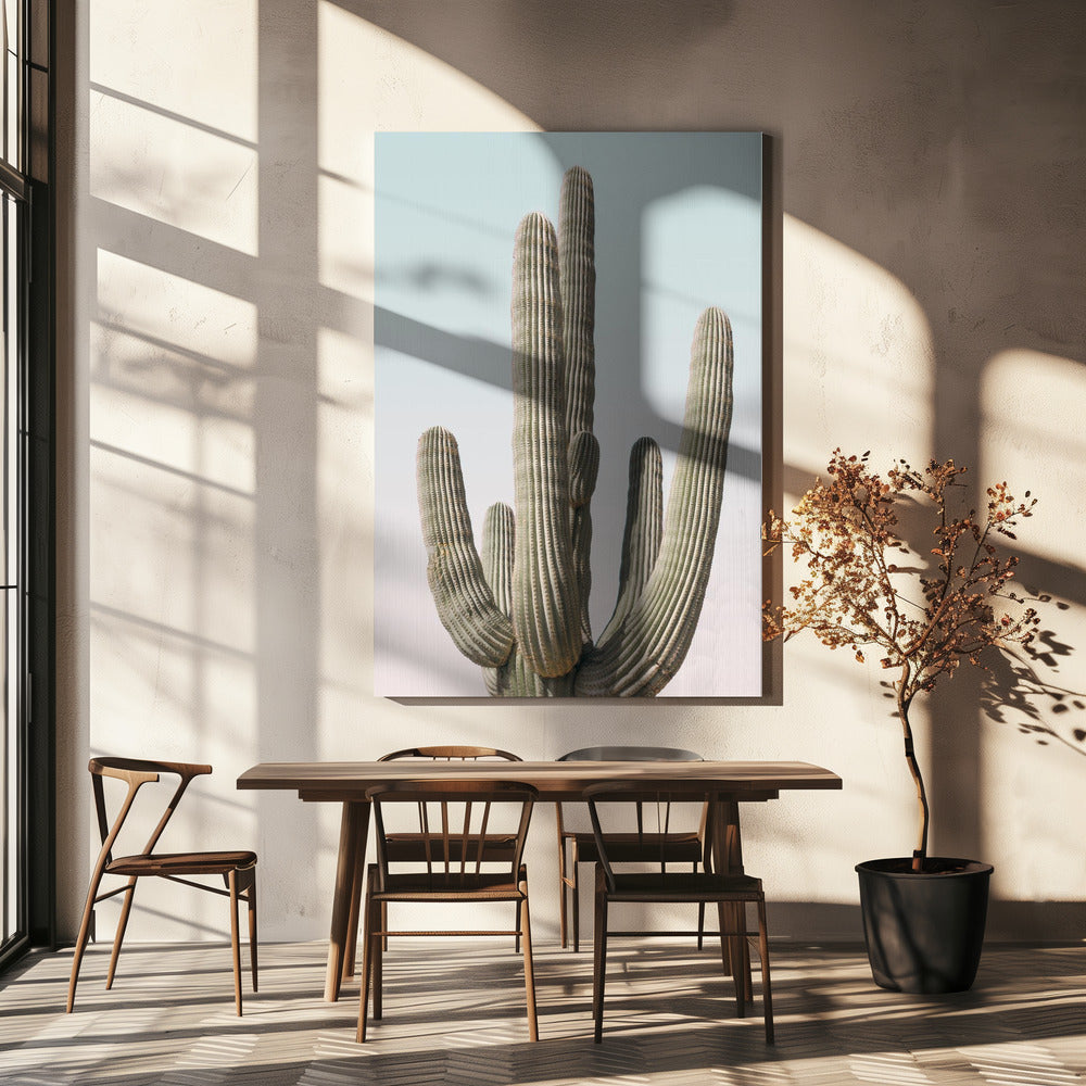 Saguaro | Canvas