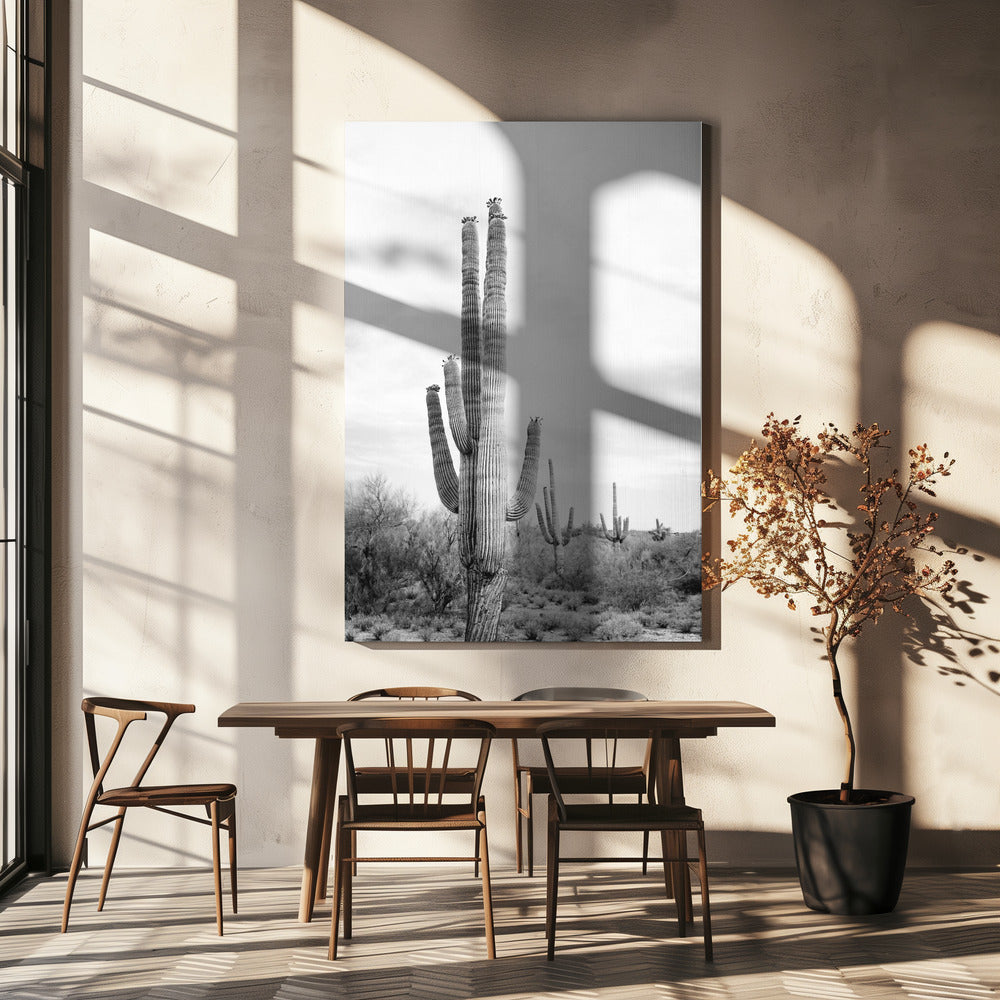 Saguaro B&amp;W | Canvas