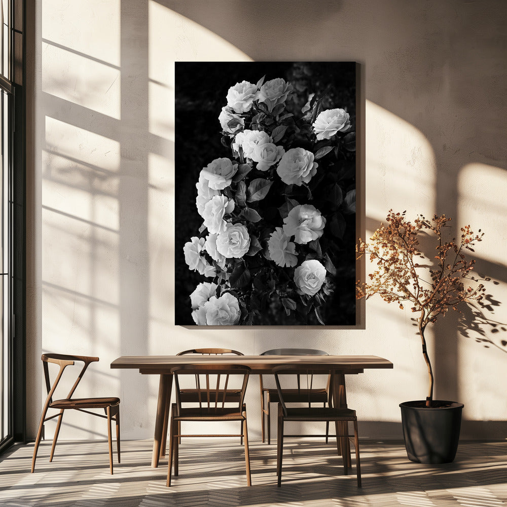 Rose Bush | Canvas