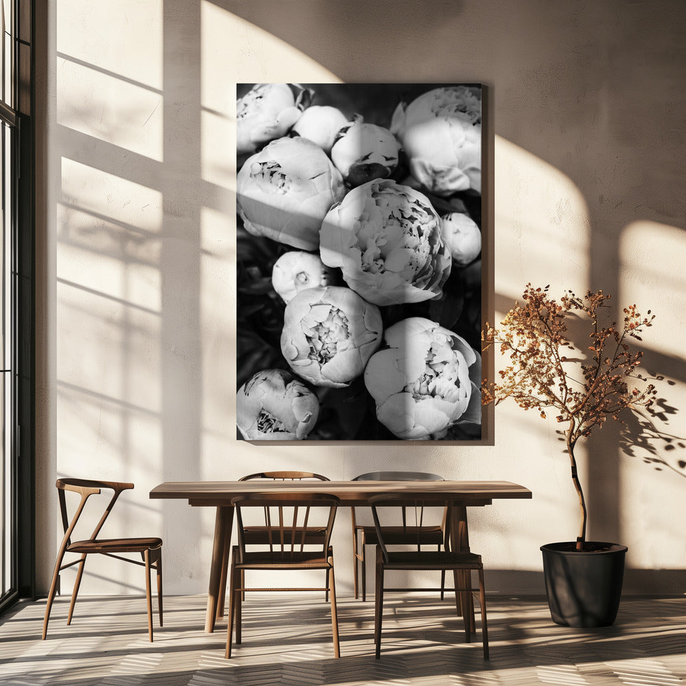 Peonies | Canvas